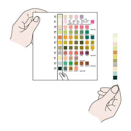 Szybki test moczu firmy Reactif - 10 parametrów - 100 szt.